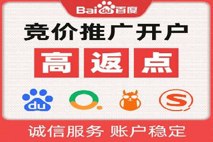 某品牌通过百度广告实现快速增长的案例